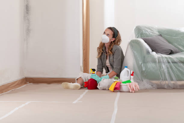 Reliable Hvac And Air Duct Mold Remediation contractor in McKinney, TX by Car Mold Remediation